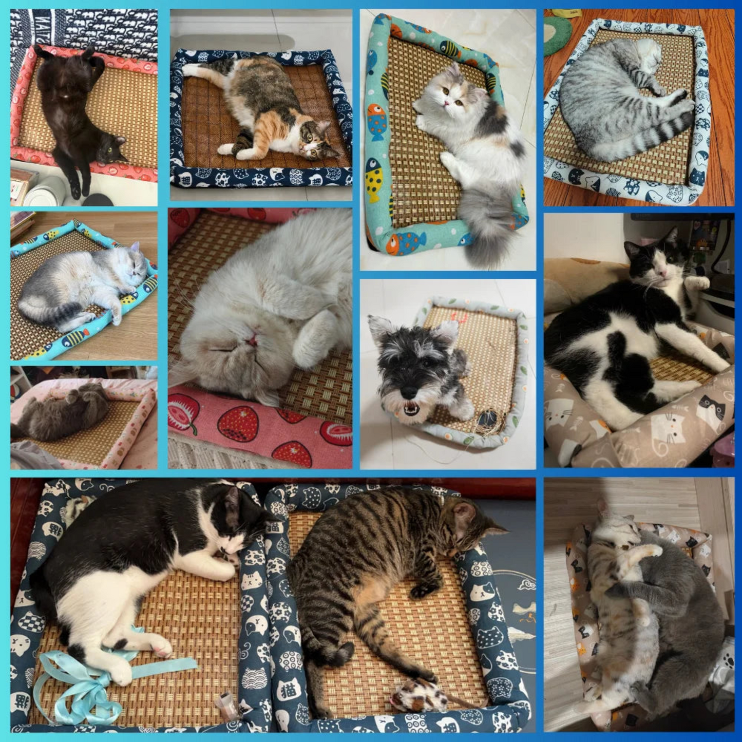 Tapis rafraîchissant pour animaux - TempCat