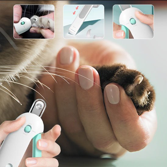 coupe griffe chat | SafeCut - Woufie
