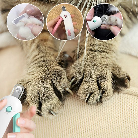 coupe griffe chat | SafeCut - Woufie