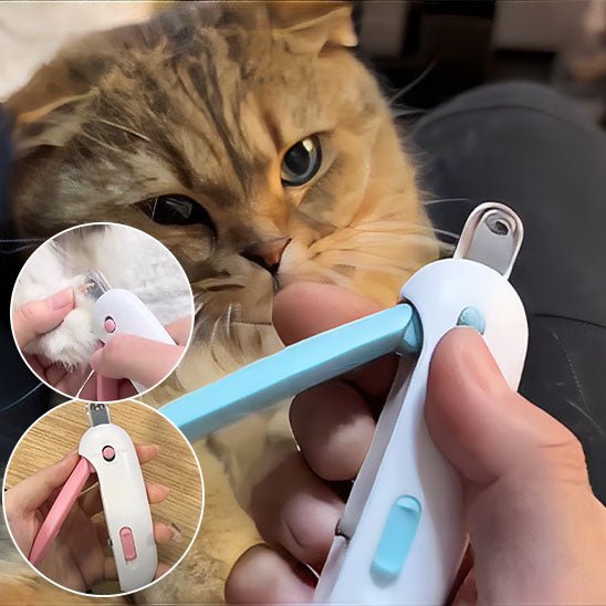 coupe griffe chat | SafeCut - Woufie