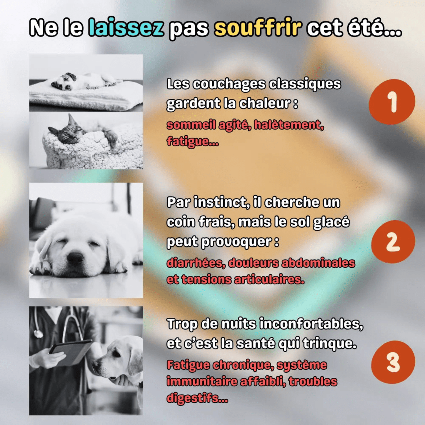Tapis rafraîchissant pour animaux - TempCat - Woufie