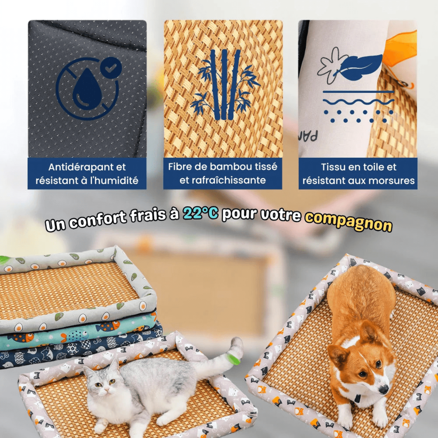 Tapis rafraîchissant pour animaux - TempCat - Woufie