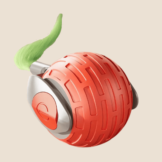 balle interactive chat | DivBall - Woufie
