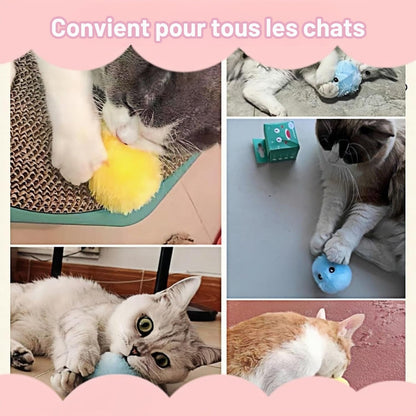 balle interactive chat | ItsyPets - Woufie