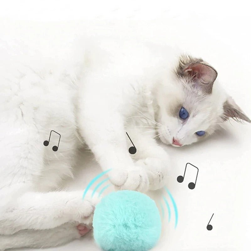 balle interactive chat | ItsyPets - Woufie