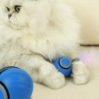balle interactive chat | LuvBall - Woufie