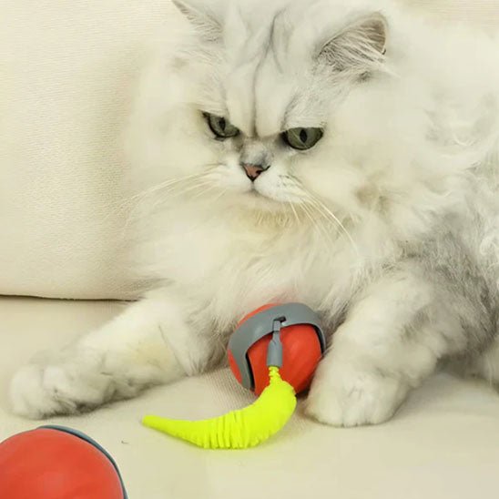 balle interactive chat | LuvBall - Woufie