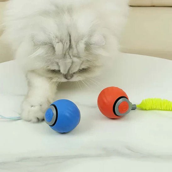 balle interactive chat | LuvBall - Woufie