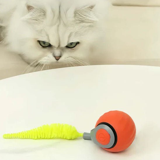 balle interactive chat | LuvBall - Woufie