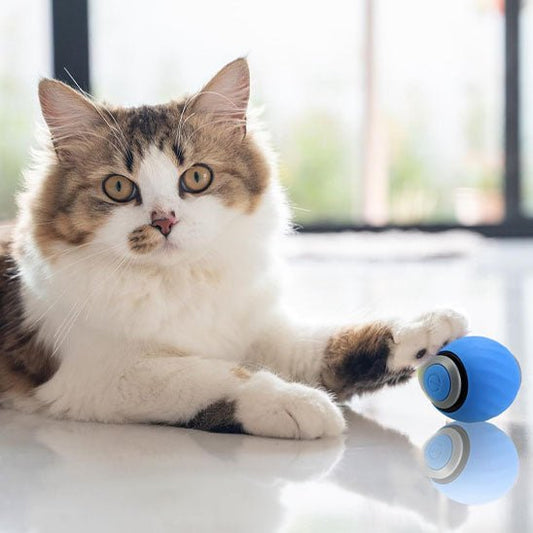 balle interactive chat | LuvBall - Woufie