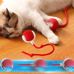 Balle Interactive Pour Chat - Diviball ES - Woufie