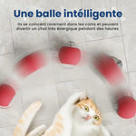 Balle Interactive Pour Chat - Diviball ES - Woufie