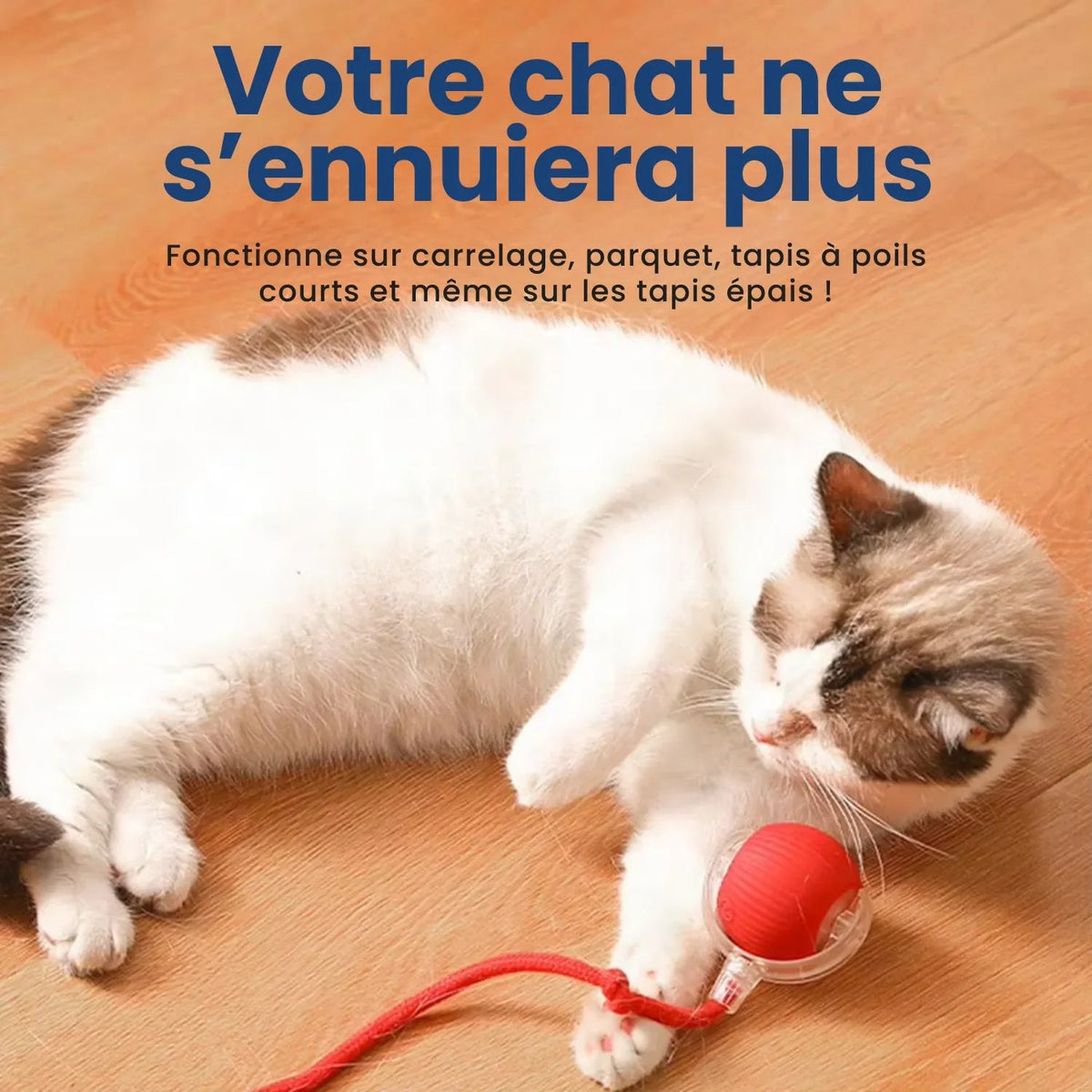 Balle Interactive Pour Chat - Diviball ES - Woufie