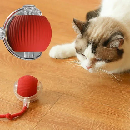 Balle Interactive Pour Chat - Diviball ES - Woufie