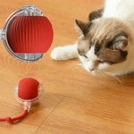 Balle Interactive Pour Chat - Diviball ES - Woufie