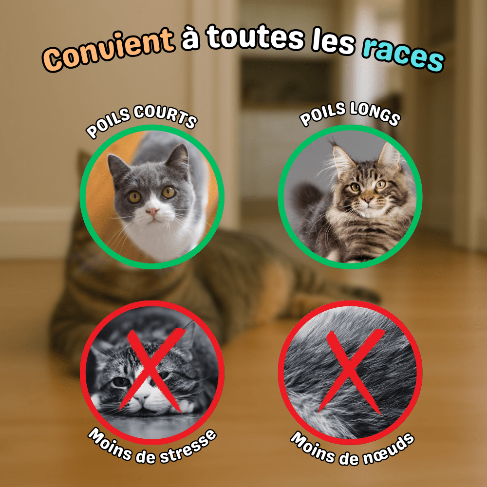 Brosse anti - poils morts - ZenCat - Woufie