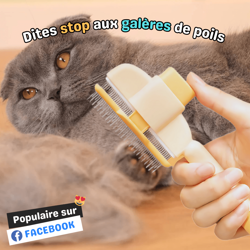 Brosse anti - poils morts - ZenCat - Woufie