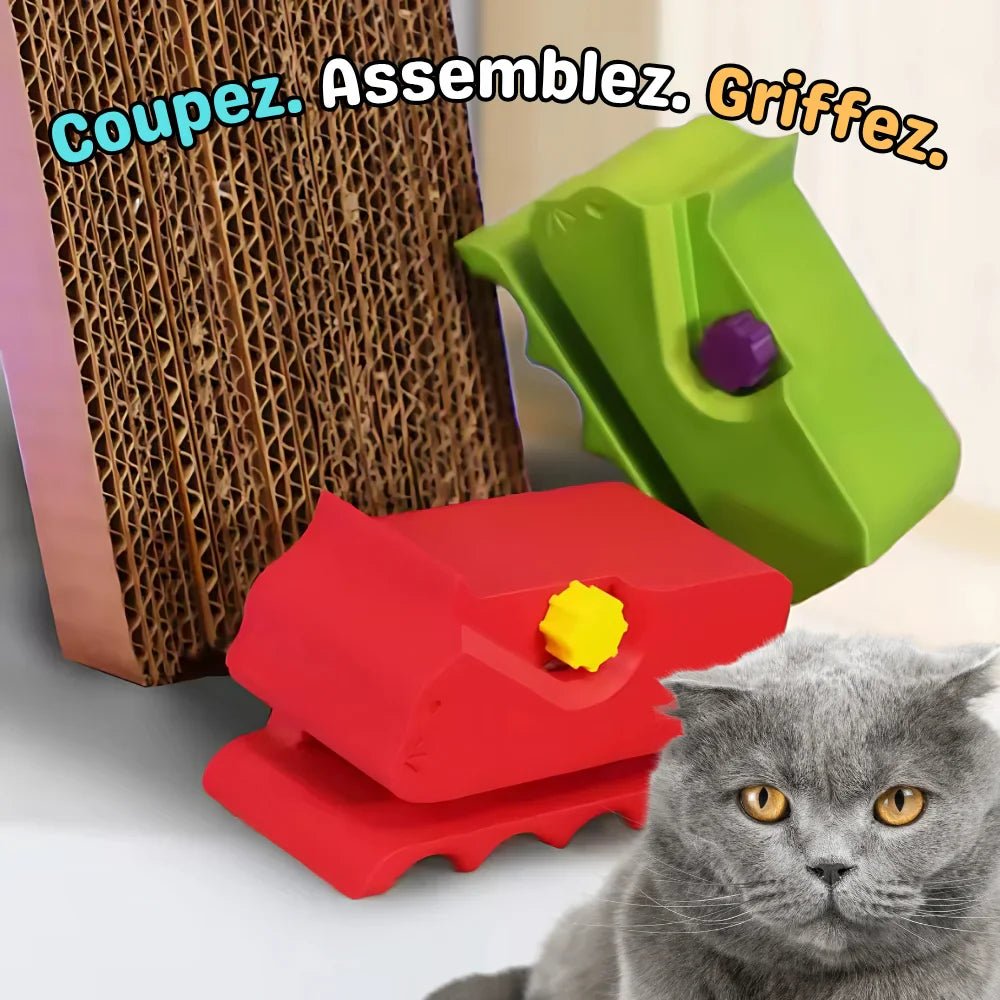 Coupe - Grattoir - Bricocut - Woufie