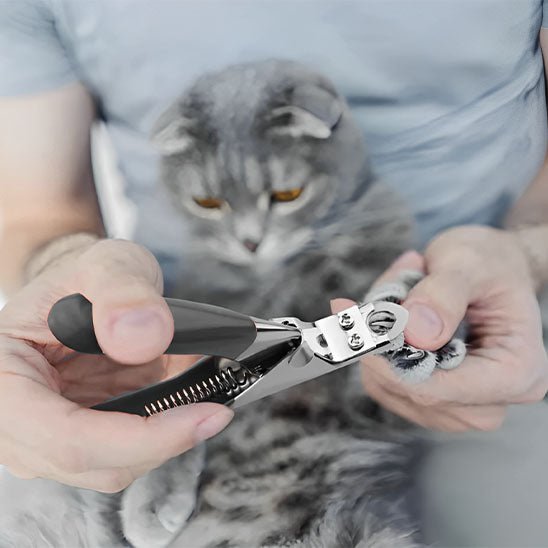 coupe griffe chat | BlackSteel - Woufie