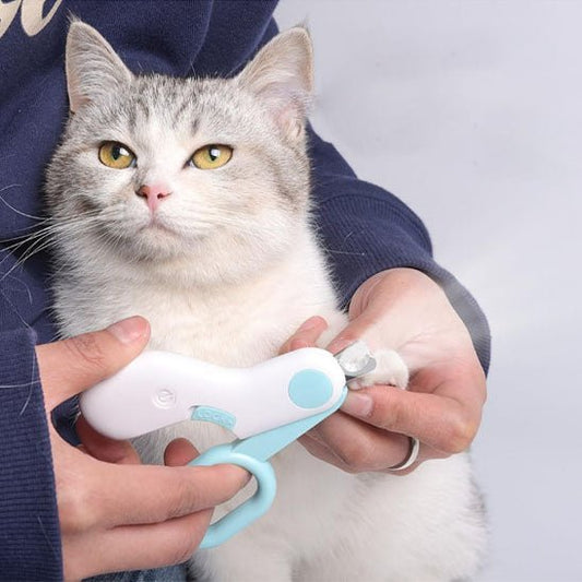 coupe griffe chat | KittyClic - Woufie