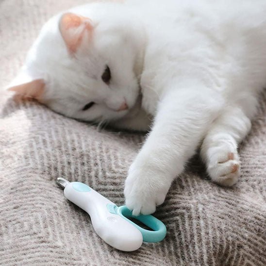 coupe griffe chat | KittyClic - Woufie
