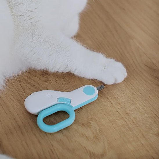 coupe griffe chat | KittyClic - Woufie