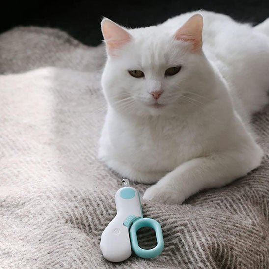 coupe griffe chat | KittyClic - Woufie