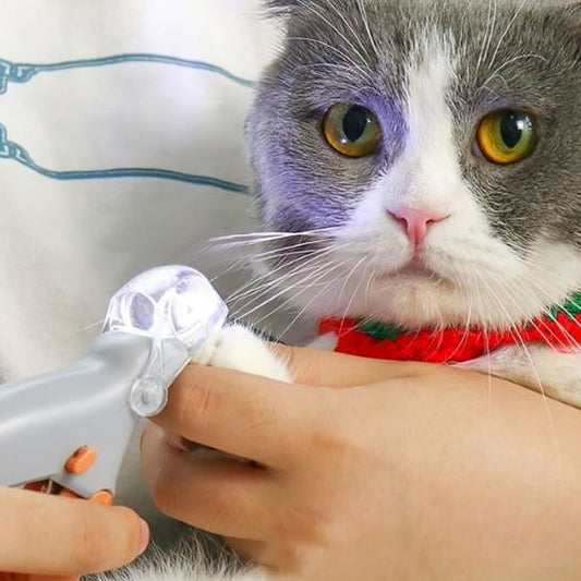 coupe griffe chat | LumoCut - Woufie