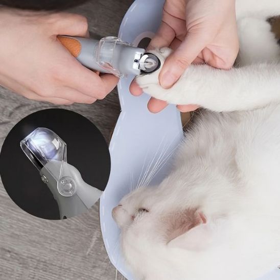 coupe griffe chat | LumoCut - Woufie