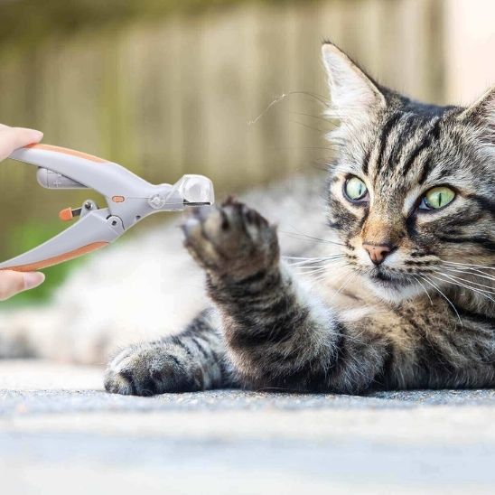coupe griffe chat | LumoCut - Woufie