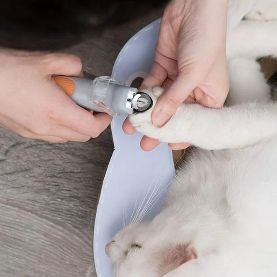 coupe griffe chat | LumoCut - Woufie