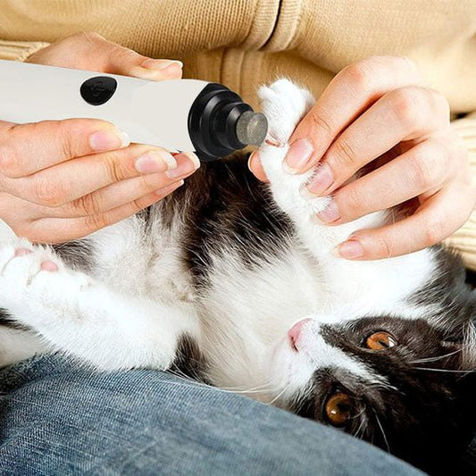 coupe griffe chat | PerfectPaw - Woufie