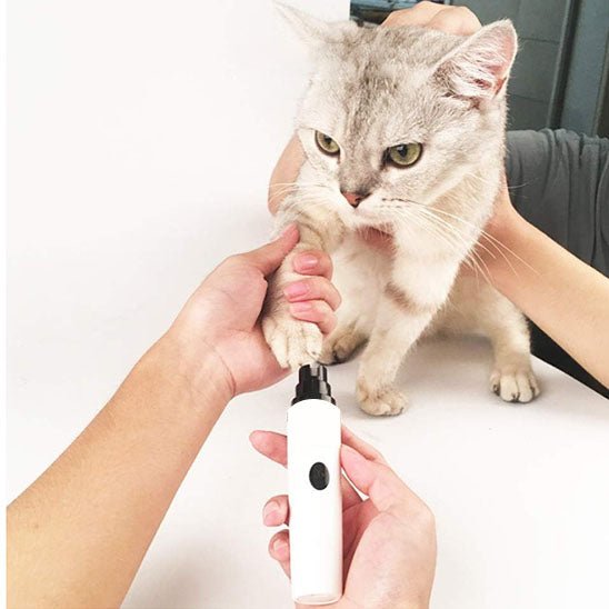 coupe griffe chat | PerfectPaw - Woufie