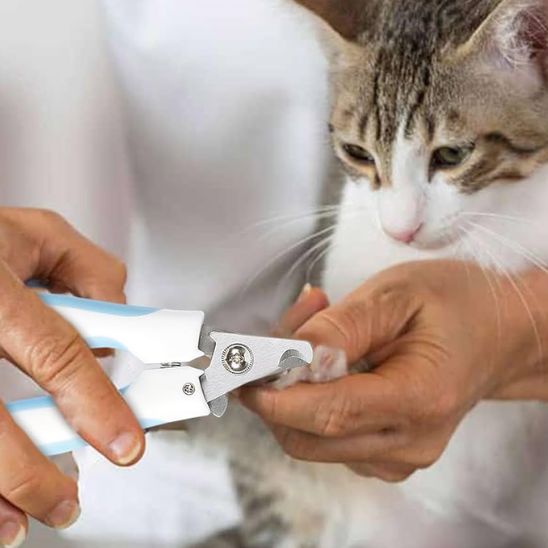 coupe griffe chat | SafeCut - Woufie