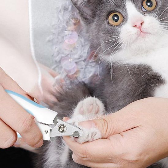 coupe griffe chat | SafeCut - Woufie