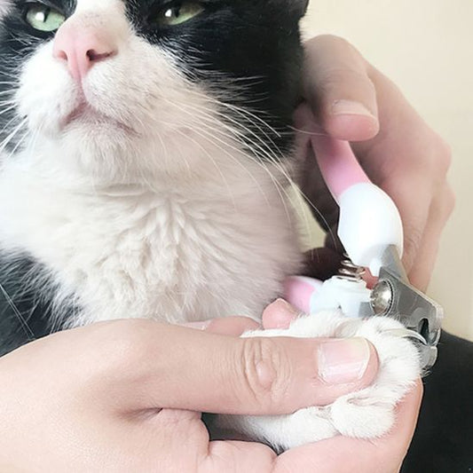 coupe griffe chat | SafeCut - Woufie