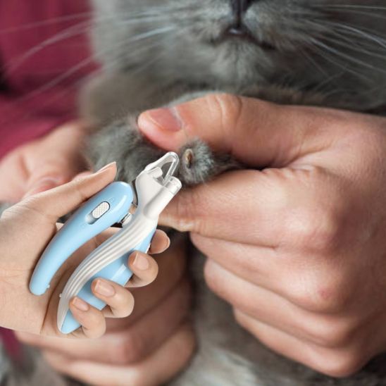 coupe griffe pour chat | IceClip - Woufie
