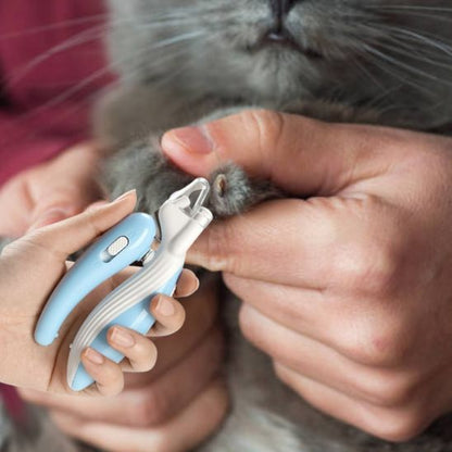 coupe griffe pour chat | IceClip - Woufie