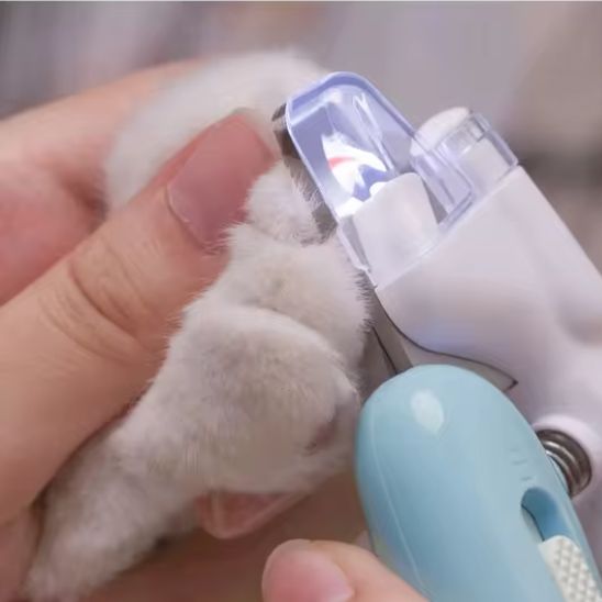 coupe griffe pour chat | IceClip - Woufie