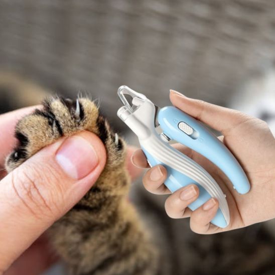 coupe griffe pour chat | IceClip - Woufie