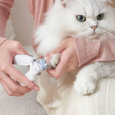 coupe griffe pour chat | IceClip - Woufie