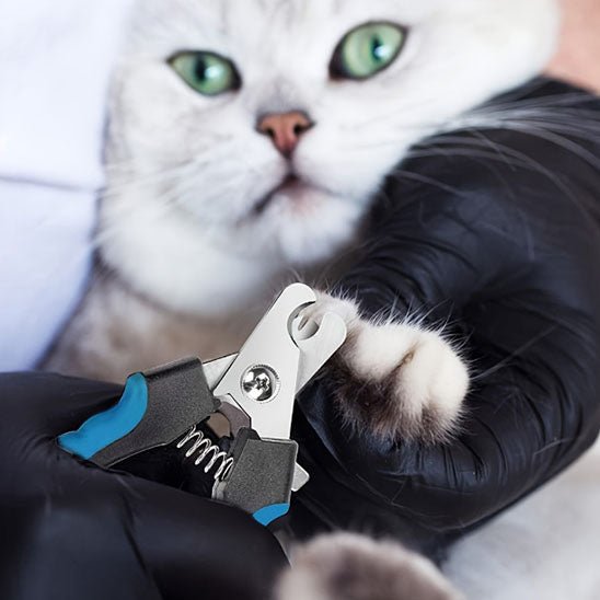 coupe ongle chat | ErgoCut - Woufie