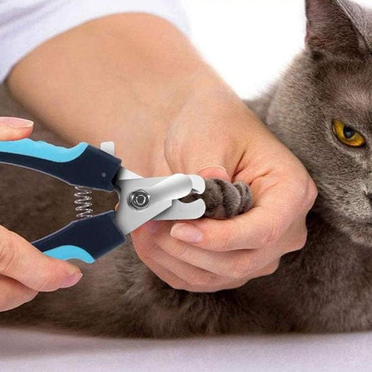 coupe ongle chat | ErgoCut - Woufie