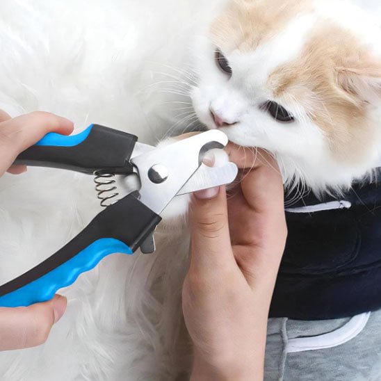 coupe ongle chat | ErgoCut - Woufie