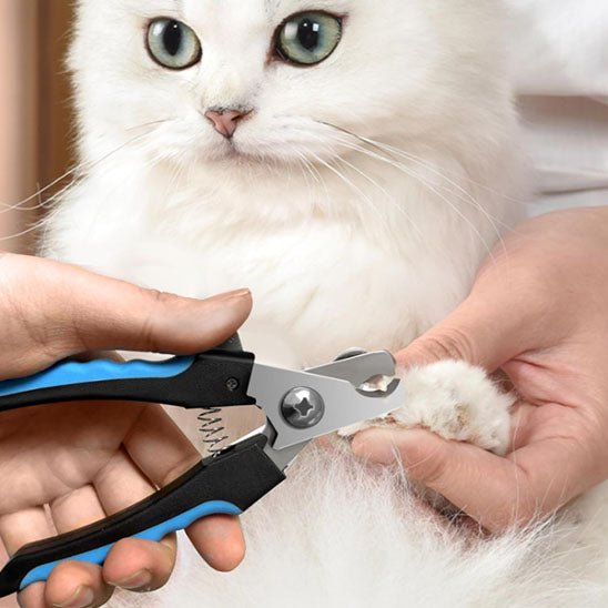 coupe ongle chat | ErgoCut - Woufie
