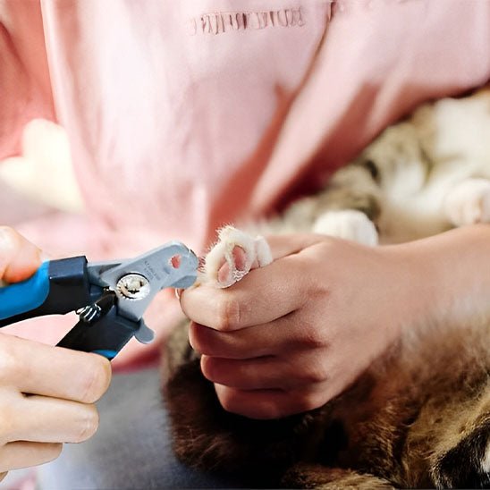 coupe ongle chat | ErgoCut - Woufie