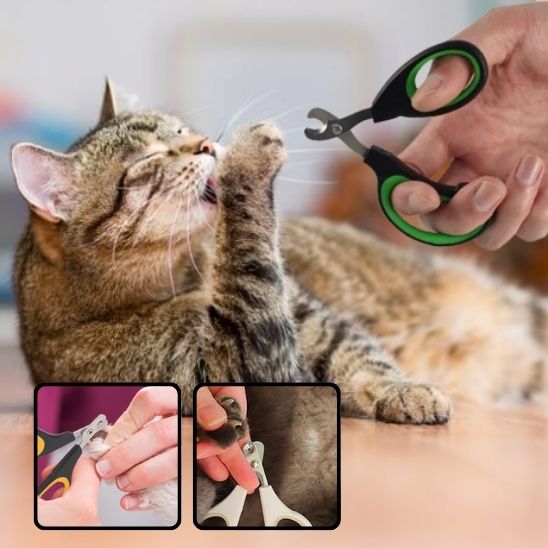 coupe ongle chat | ZenClip - Woufie