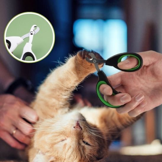coupe ongle chat | ZenClip - Woufie