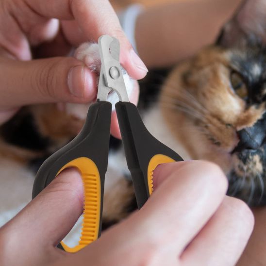 coupe ongle chat | ZenClip - Woufie
