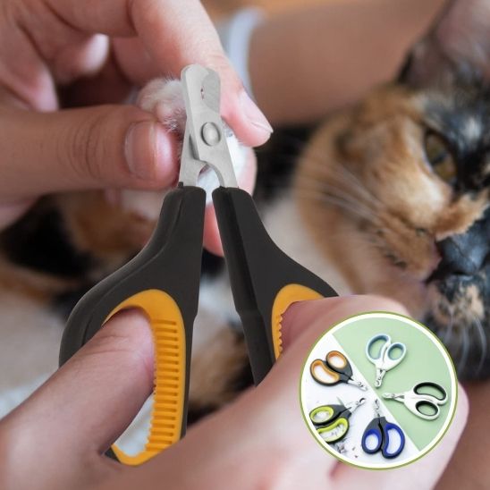 coupe ongle chat | ZenClip - Woufie